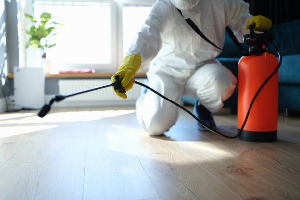 Reliable Odor Removal contractor in Lebanon, VA by Crime Scene Cleaner Online